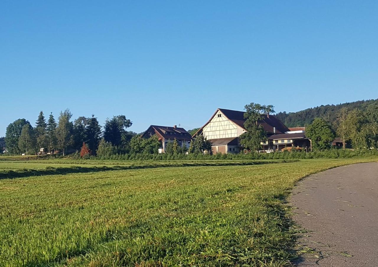 Ferienhof Hanssler Lägenhet Wilhelmsdorf  Exteriör bild